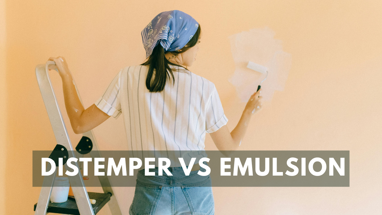 Tips for Using Distemper vs Emulsion in Interiors – What Works Best Where